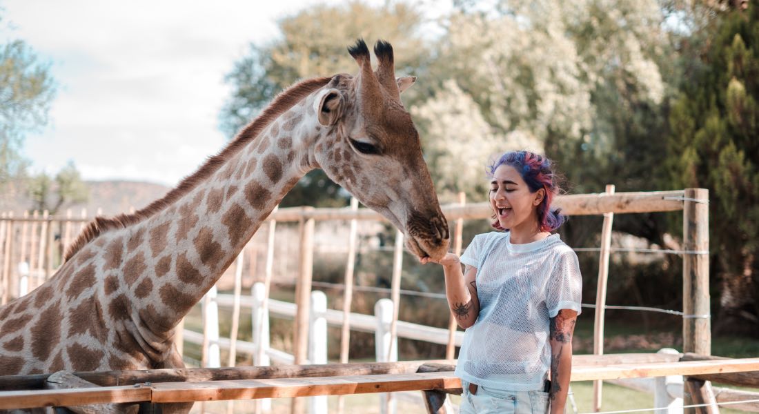 Image de la formation