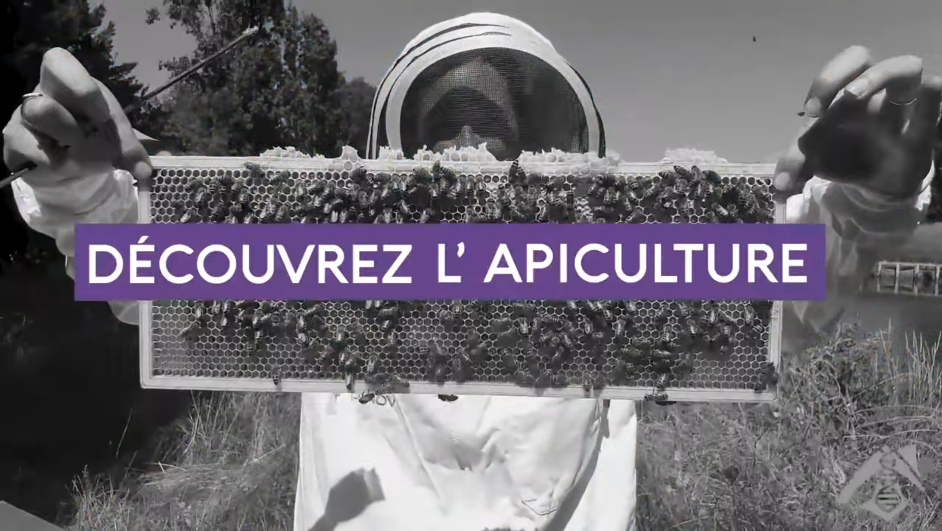 Image de la formation