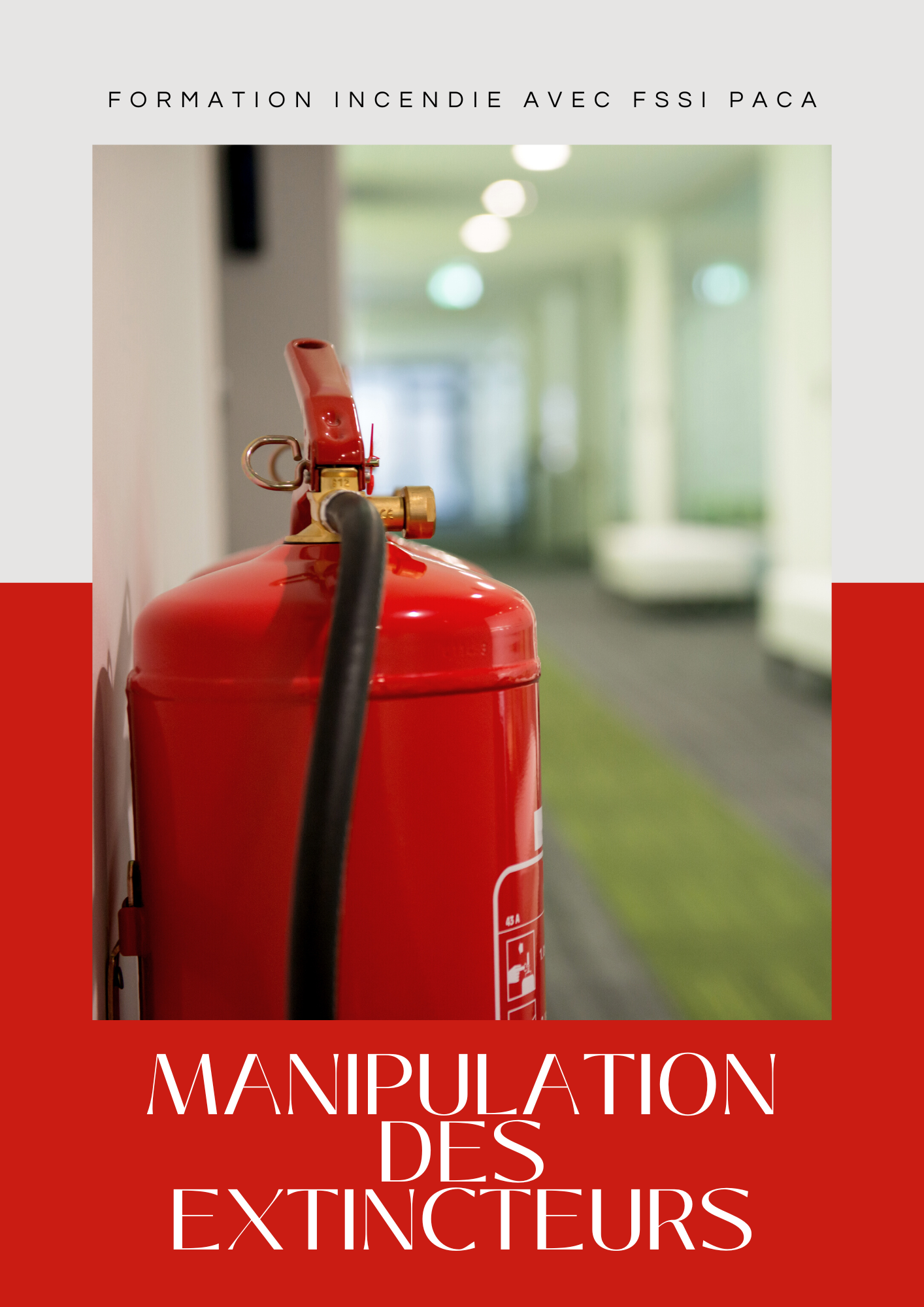 Image de la formation