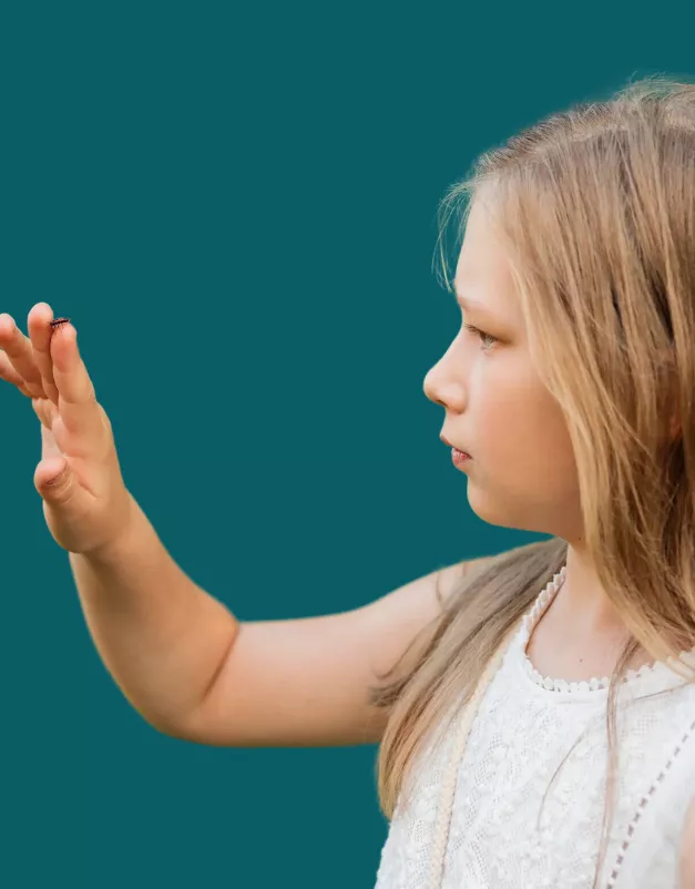 Image de la formation