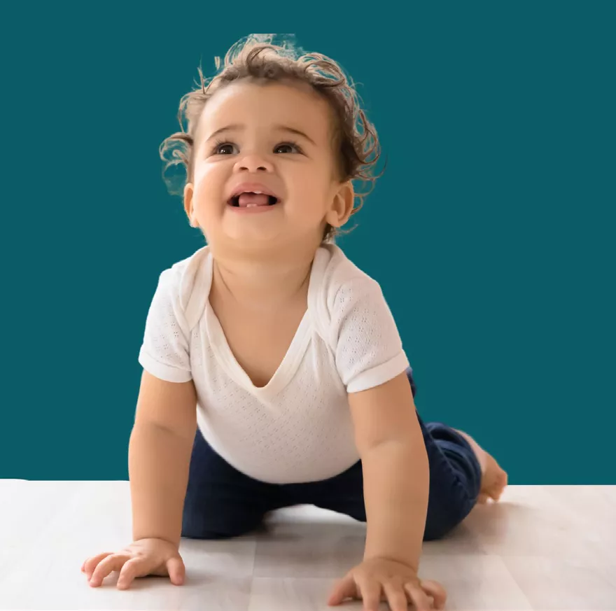 Image de la formation