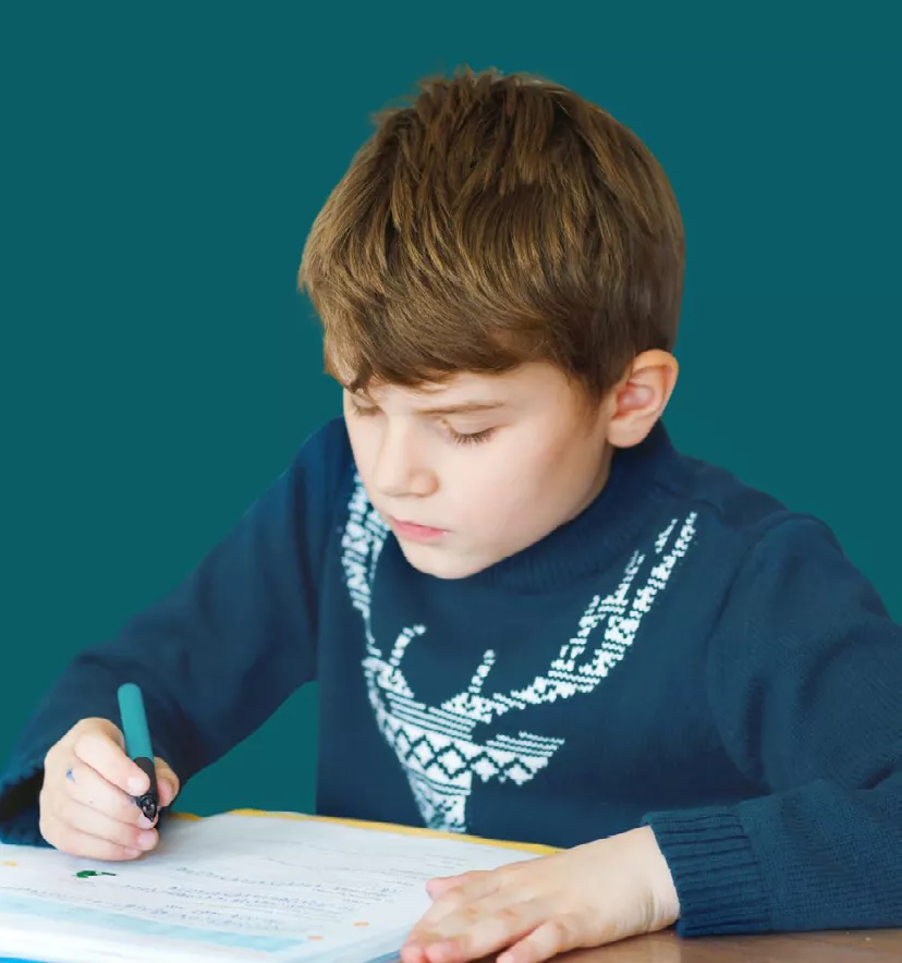 Image de la formation