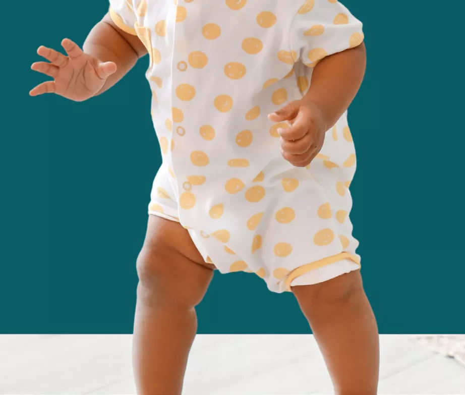 Image de la formation