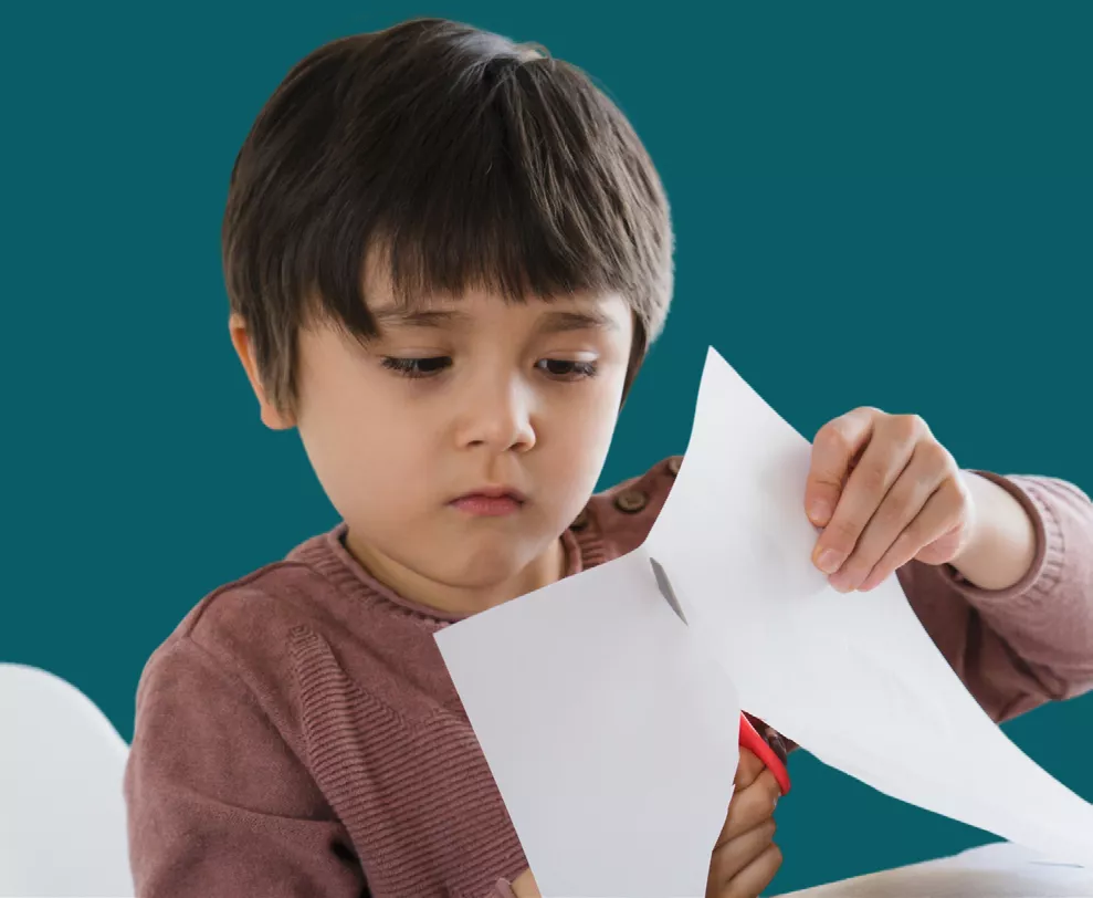 Image de la formation