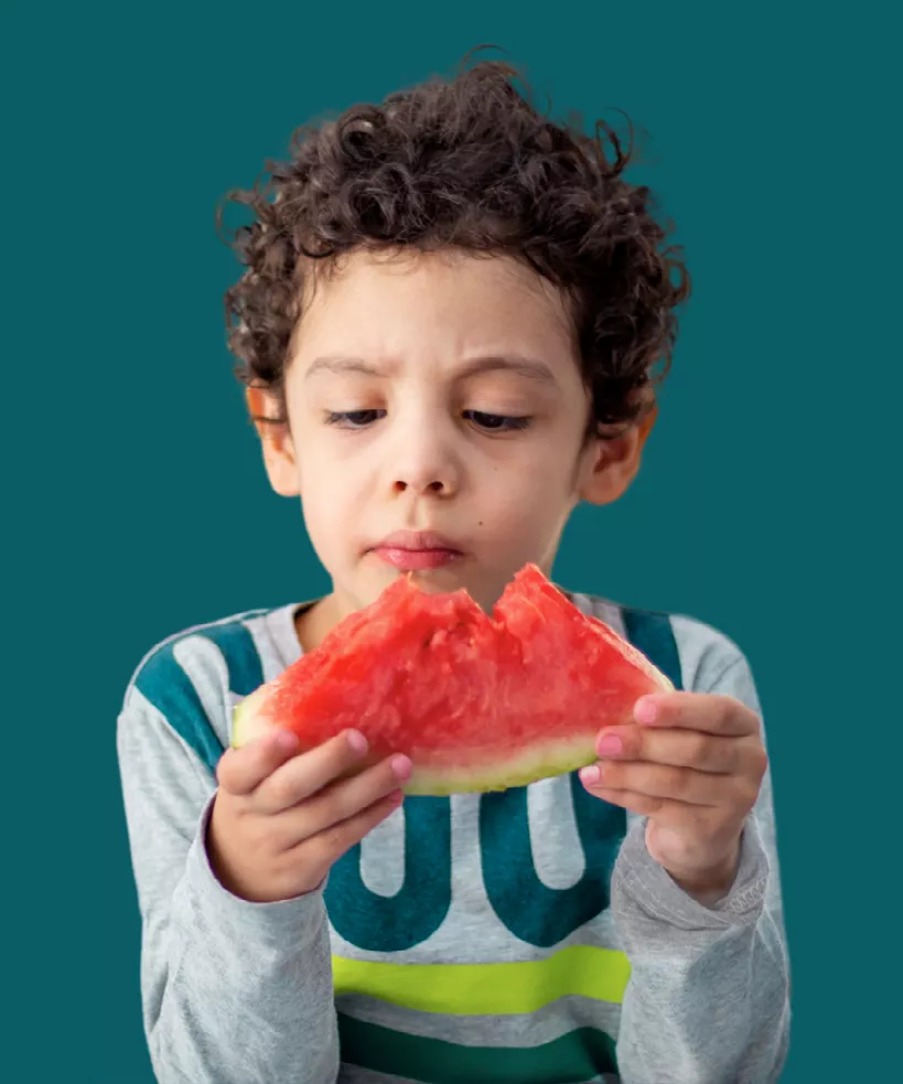 Image de la formation