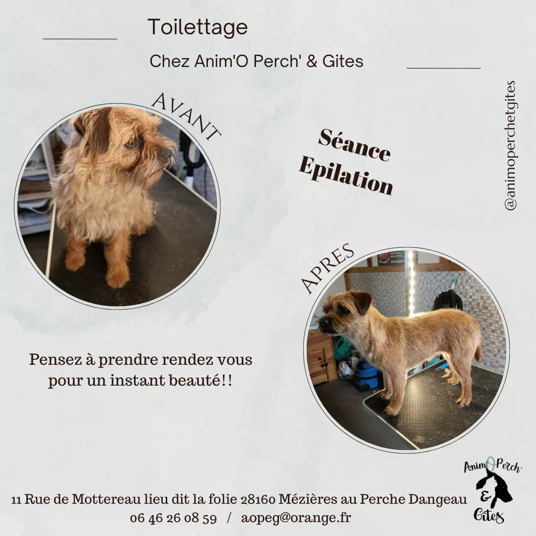 Image de la formation