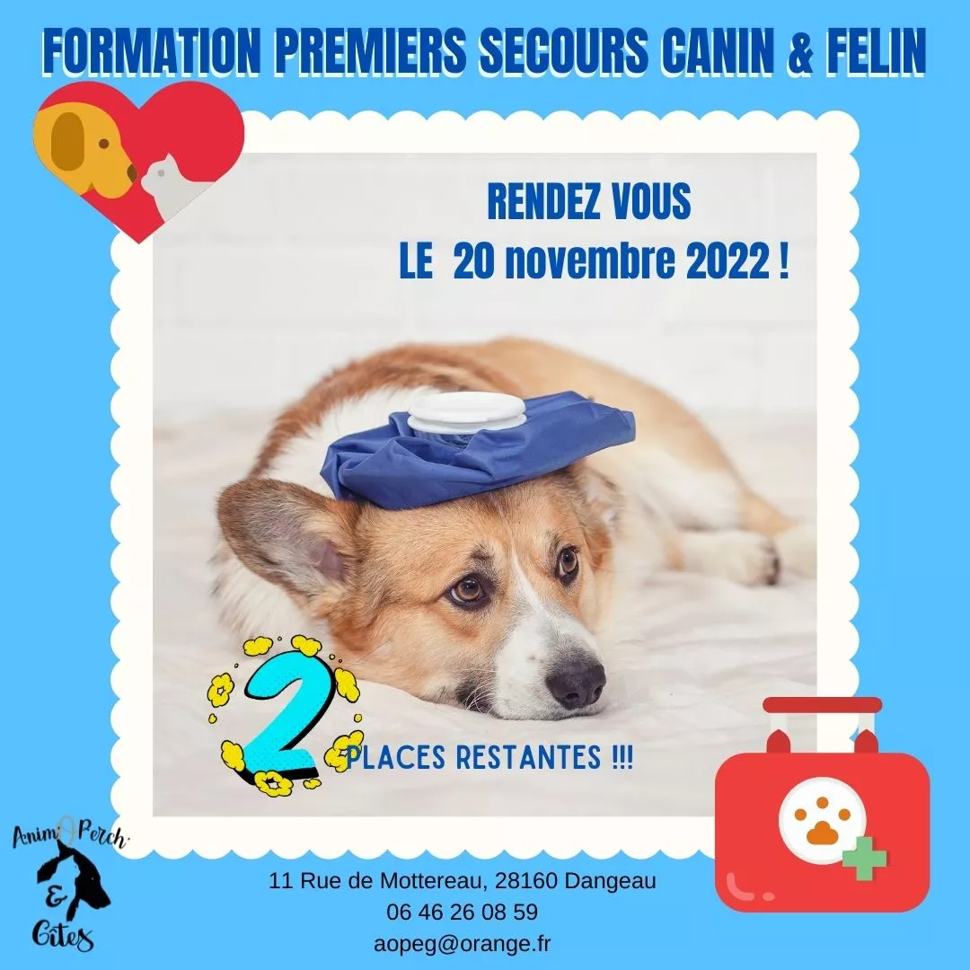 Image de la formation