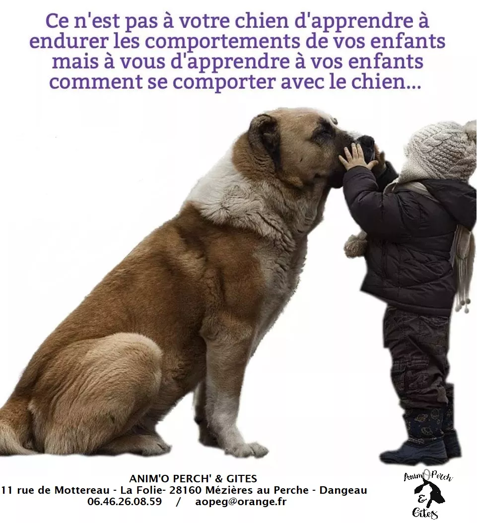 Image de la formation