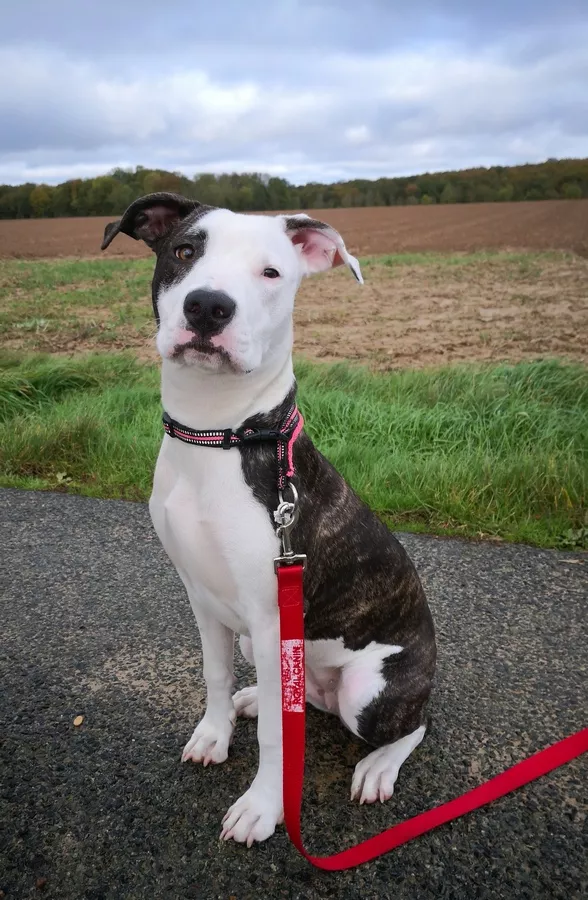 Image de la formation