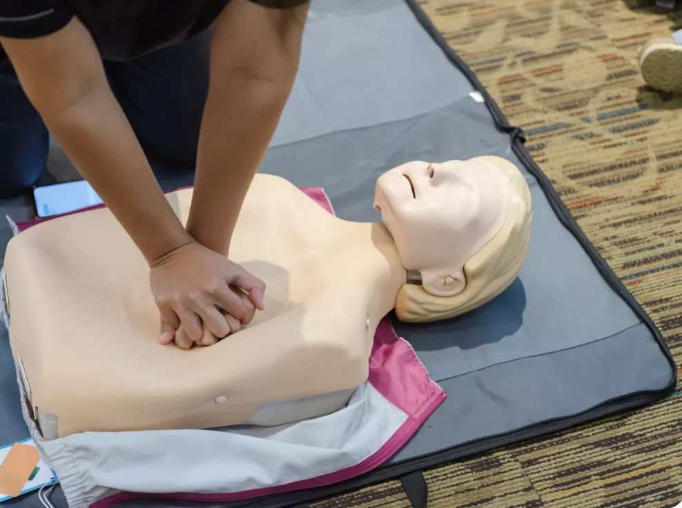 Image de la formation