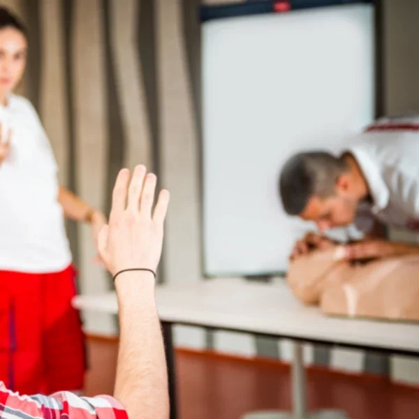 Image de la formation