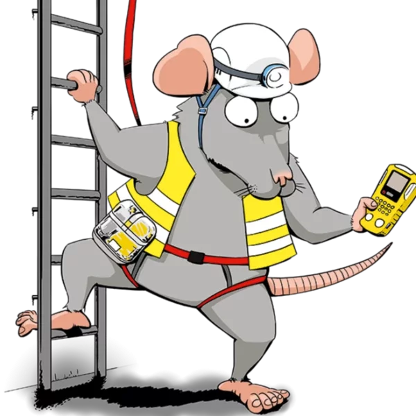 Image de la formation