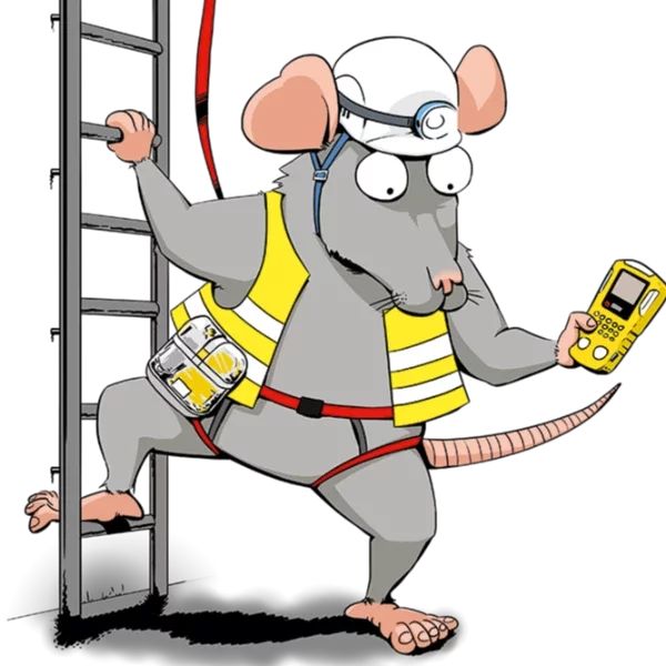 Image de la formation