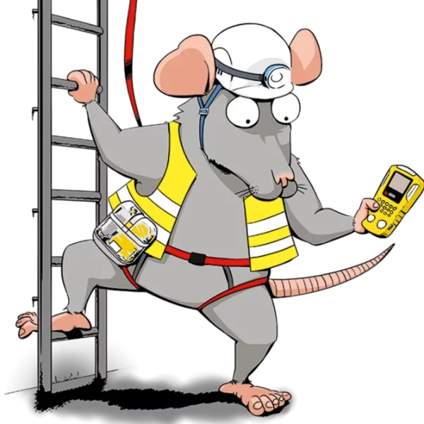 Image de la formation