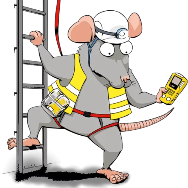 Image de la formation