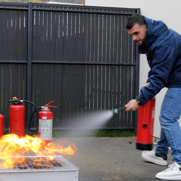 Image de la formation