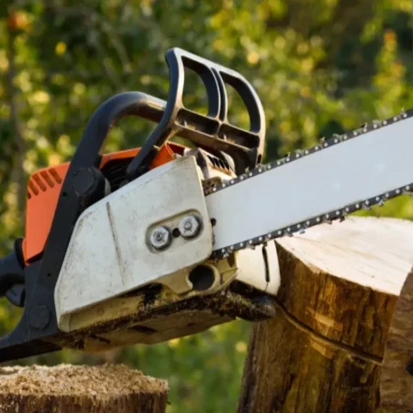 Image de la formation