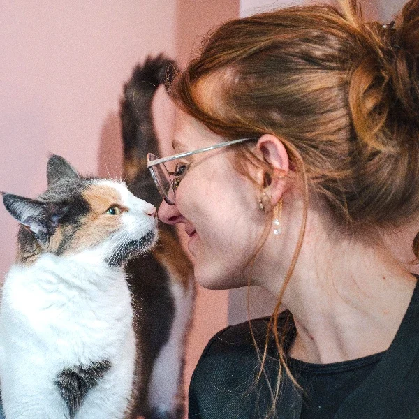 Image de la formation