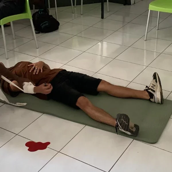 Image de la formation