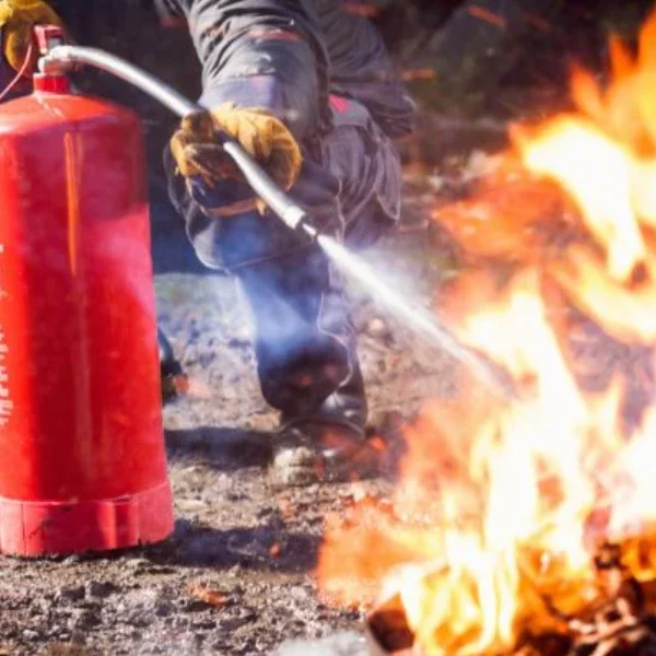 Image de la formation