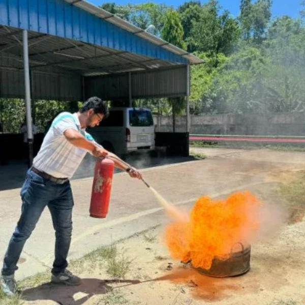 Image de la formation